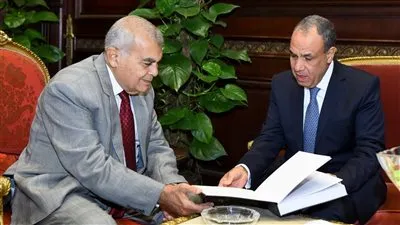 وزير الخارجية يلتقي رئيس مجلس الشيوخ