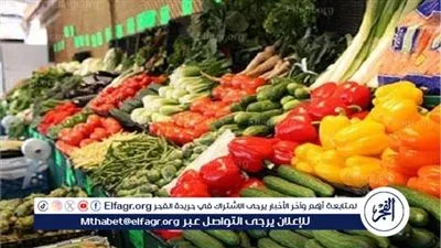 أسعار الخضروات اليوم الخميس في محافظة الغربية