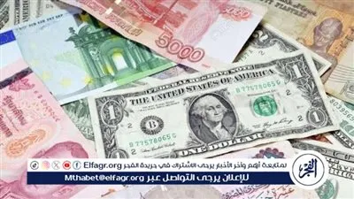 تأثير خفض سعر الفائدة 1% على السوق والأسعار.. خبير يوضح