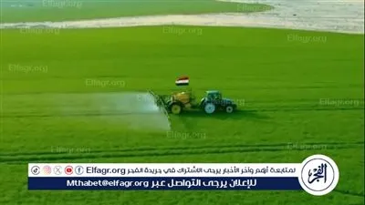 إنجازات الزراعة 2025.. طفرة في الصادرات وتعزيز الأمن الغذائي