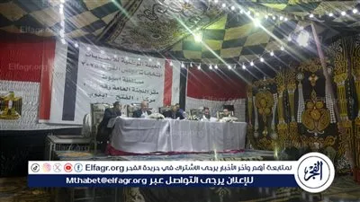 الحصر العددى بالدائرة الثالثة بأسيوط يشير إلى تقدم معوض وجودة والعمدة بالمقاعد الثلاثة 