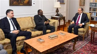 وزير الخارجية يؤكد دعم مصر لتعزيز منظومة الصحة والأمن الدوائي في إفريقيا