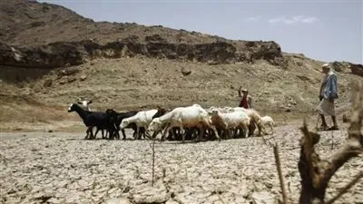 صرخة من قلب العطش.. كيف تحولت حياة ملايين اليمنيين إلى جحيم مناخي؟