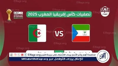يلا كورة لايف.. مشاهدة مباراة الجزائر ضد غينيا الاستوائية مباشر دون تقطيع | كأس أمم إفريقيا