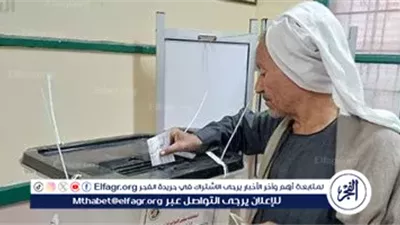 استعدادًا لجولة الإعادة.. تجهيز 489 لجنة انتخابية بمحافظة المنيا