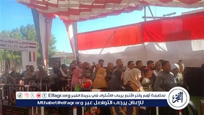 إقبال المواطنين على لجان الدائرة الثالثة بالفيوم في الساعات الأولى من جولة الإعادة