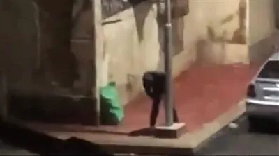 الأمن يفحص فيديو لسرقة أعمدة الإنارة في بورسعيد ويبحث عن المتهم فحص أمني لمقطع متداول