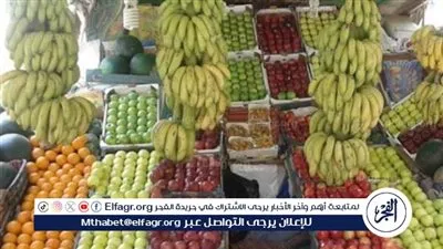 الأسعار بين الاستقرار والارتفاع.....اسعار الفاكهة اليوم الأحد 4يناير2026 فى المنيا