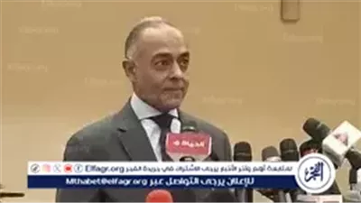 عاجل- القاضي أحمد بنداري يحذر الناخبين: احموا إرادتكم وشاركوا في جولة إعادة انتخابات مجلس النواب