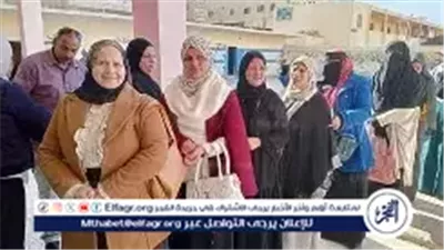 عاجل- اليوم الثاني.. انتظام التصويت في إعادة 5 دوائر «ملغاة» بانتخابات النواب بالمنيا