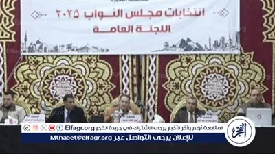 برلمان 2025.. نتيجة الحصر العددي بالدائرة التاسعة لإنتخابات مجلس النواب بالبحيرة