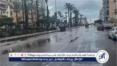 الطقس اليوم.. أجواء شديدة البرودة وصقيع وشبورة كثيفة والصغرى بالقاهرة 9 درجات