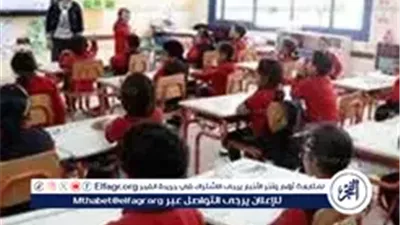 دفع مصروفات المدارس المصرية اليابانية على 3 أقساط.. التفاصيل الكاملة