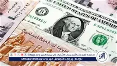 خبير اقتصادي: ارتفاع تحويلات المصريين بالخارج يعزز استقرار الجنيه ويخفض التضخم 
