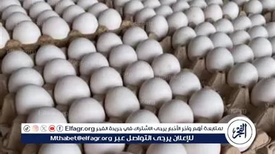 سعر كرتونه البيض اليوم الثلاثاء 6يناير 2026 فى المنيا 