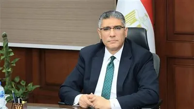 محافظة الجيزة تعلن تنفيذ أعمال ربط كهربائي بمحطة مياه منشأة القناطر دون قطع الخدمة