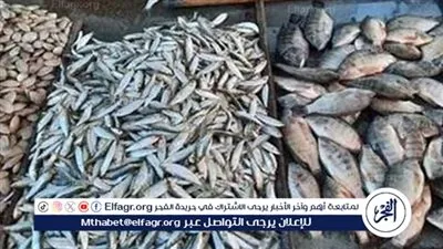 أسعار السمك اليوم الخميس 8-1-2026 في محافظة الأقصر