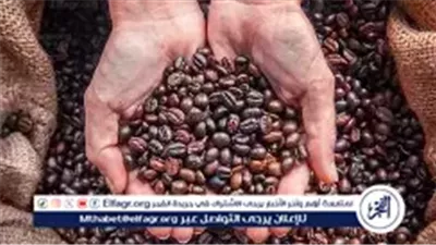 جنون أسعار القهوة في كولومبيا ببداية 2026.. أرباح قياسية للمزارعين وسط تقلبات السوق العالمية