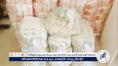 تحرير 591 محضرًا تموينيًا فى أسيوط 