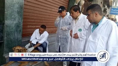 اليوم.. الزراعة تطلق حملة قومية استثنائية لتحصين الثروة الحيوانية ضد الحمى القلاعية والوادي المتصدع