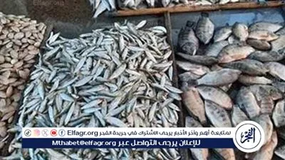أسعار السمك اليوم السبت 10-1-2026 في محافظة الأقصر