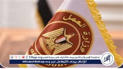 العمل: 6 منح سنوية بقيمة 1500 جنيه للعمالة غير المنتظمة دون أي رسوم