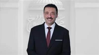 محمد رزق: لقاء وزير الخارجية بنظيرته الفلسطينية يؤكد دعم مصر للشعب الفلسطيني