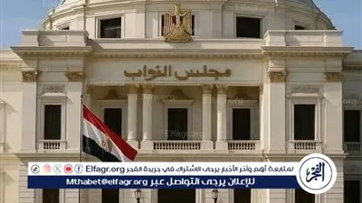 إنضمام 10 وزراء سابقين لمجلس النواب الجديد يعزز الأداء التشريعي والرقابي.