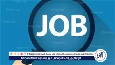 فرص عمل جديدة بالعين السخنة برواتب تصل لـ12 ألف جنيه.. تعرف على التخصصات وكيفية التقديم