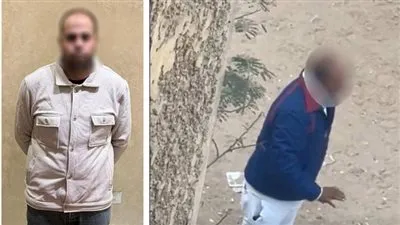 سائق يتعدي علي جيرانه إعتراضًا على قيامهم بإطعام الكلاب الضالة بالجيزة 