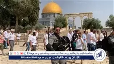 270 مستوطنا يقتحمون باحات الأقصى بحماية الاحتلال الإسرائيلي