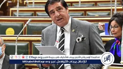 عضو مجلس النواب: هدفنا الأساسي خدمة الشعب المصري (فيديو)