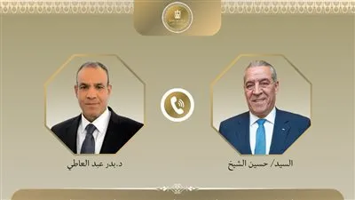 اتصال بين وزير الخارجية ونائب الرئيس الفلسطيني