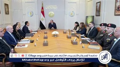 عاجل- الرئيس السيسي يشدد على التكامل بين الوزارات والهيئات لضمان نجاح 