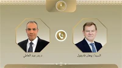 اتصال هاتفي بين وزير الخارجية ونظيره الألماني