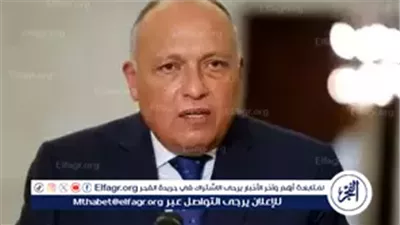 عاجل- السيرة الذاتية لسامح شكري وزير الخارجية السابق بعد تعيينه عضوًا بمجلس النواب