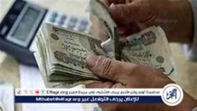 تعرف على طرق صرف معاشات يناير 2026 ومنافذ الاستلام المتاحة للمستفيدين