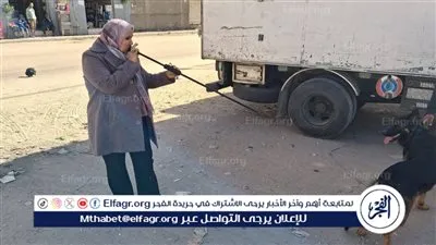 الطب البيطري بقنا: تحصين 27 كلبًا بلقاحات السعار