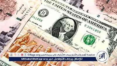 خبير اقتصادي: تحويلات المصريين بالخارج السبب الرئيسي في صعود الجنيه أمام الدولار