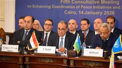 وزير الخارجية يؤكد علي ثوابت الموقف المصري تجاه الأزمة في السودان