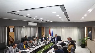 شراكة تنموية لتجميل أسوان