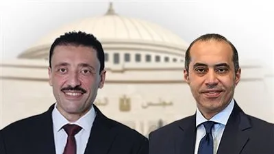 النائب محمد رزق: وزير الشؤون النيابية يمتلك ناصية اللغة وأدوات الأداء البرلمان