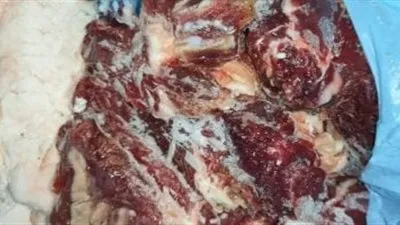 ضبط 168 كيلو لحوم ودواجن ورنجة فاسدة ومجهولة المصدر بالغربية