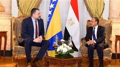 وزيرا الخارجية المصرى والبوسنى يبحثان سبل تعزيز العلاقات الثنائية والتطورات الإقليمية والدولية