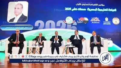 عبدالعاطي يشارك في ندوة مجلة السياسة الدولية حول حصاد السياسة الخارجية المصرية لعام 2025