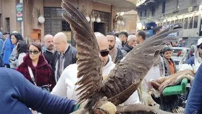 البيئة تشن حملة تفتيشية مكبرة وتضبط طيور وحيوانات برية محظور تداولها بالأزبكية