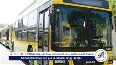 مواصلات معرض القاهرة الدولي للكتاب 2026.. 6 خطوط أتوبيسات مباشرة من وإلى مركز المعارض