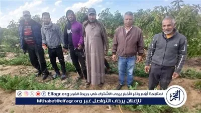 زراعة الإسماعيلية تنفذ مرورًا ميدانيًّا لمتابعة حالة المحاصيل بعدد من المراكز