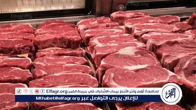أسعار اللحوم اليوم الثلاثاء 20-1-2026 في الأسواق ومحال الجزارة الأقصر