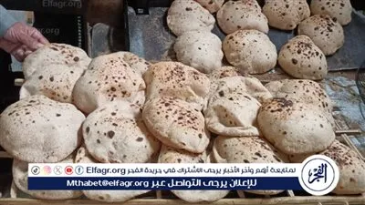 مديرية تموين الفيوم تضبط 56 مخالفة تموينية متنوعة بدائرة المحافظة